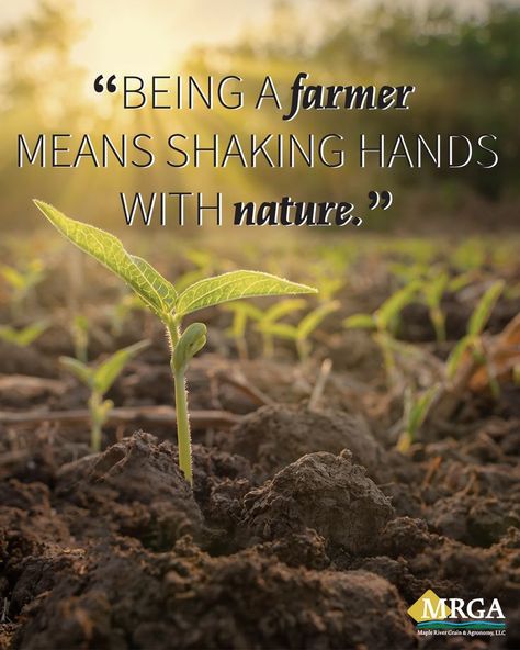 Picture of plants with a quote reading, "Being a farmer means shaking hands with nature." Farm Quotes Agriculture, Agriculture Quotes, Farmer Quotes, Agriculture Photography, Farm Quotes, Environmental Posters, Cute Bible Verses, Cute Bibles, Shaking Hands