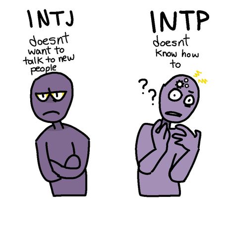 INTJ and INTP. INTJ: doesn't want to talk to new people. INTP: doesn't know how to. MBTI personalities. Intp And Intj Friendship, Intj And Intp Funny, Intp Intj Relationship, Intp X Intj, Intp Ships, Intp X Entp, Intp Things, Mbti Intj, Mbti Test