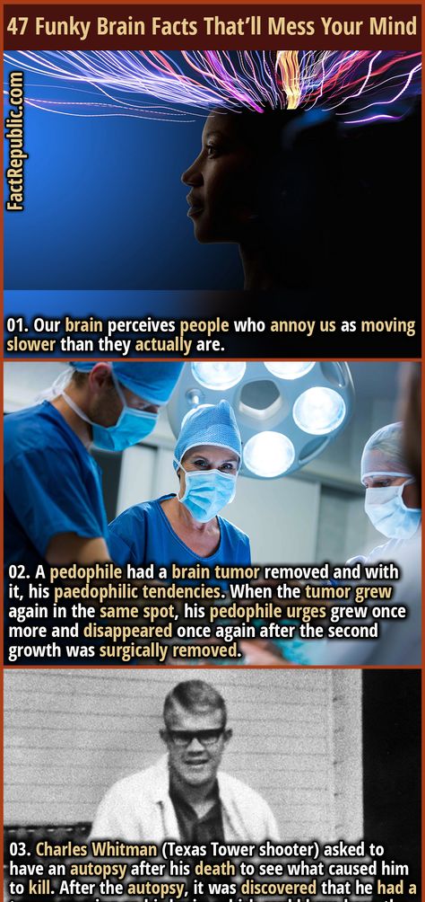 Brain Facts Psychology, Random Facts Funny, Weird Facts Random, Medicine Facts, Random Facts Interesting, Weird Fun Facts, Human Brain Facts, Random Fun Facts, Funny True Facts