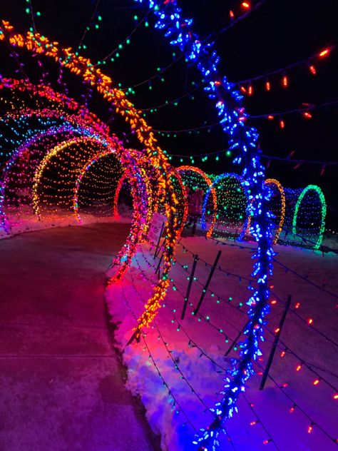 Rainbow Christmas Aesthetic, Colourful Christmas Aesthetic, Neon Christmas Aesthetic, Christmas Decor Yard Decorations, Christmas Tree Ideas Natural, Hunter Green Christmas Decor, Colorful Christmas Aesthetic, Outside Christmas Decor Yard Decorations, Diy Christmas Outdoor Decorations