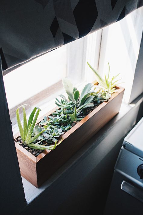 Happy plant gang. Kitchen Plants Window, Indoor Flower Box, Indoor Window Planter, Window Sill Plants, Window Herb Garden, Windowsill Garden, Herb Garden Ideas, Window Plants, Kitchen Plants