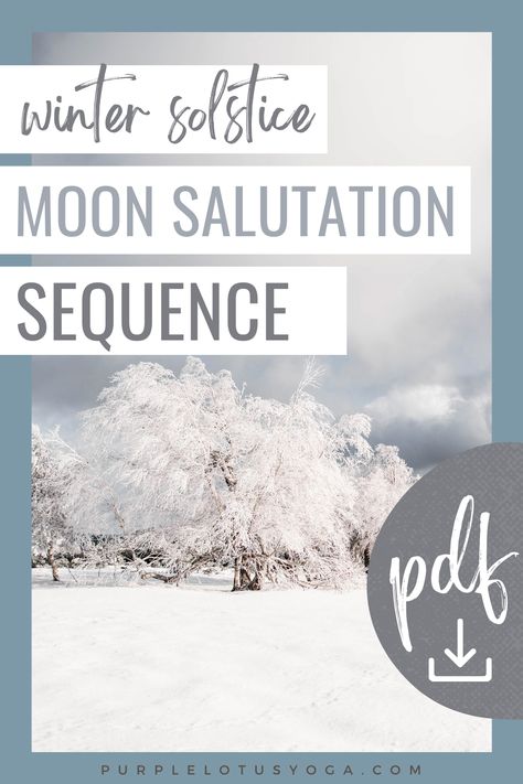 Moon Salutation Sequence, Moon Salutation Yoga, Chandra Namaskar, Sun Salutation Sequence, Best Yoga Videos, Guided Meditation Scripts, Winter Solstice Celebration, Yin Yoga Sequence, Yoga Information