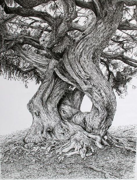 black ink drawings 21 #drawings #drawingtips #drawingtutorial #drawingideas #drawingchallenge #naturedrawing #art #artsketches #artdrawings #sketching #sketches #nature #natureart #naturedrawing Tree Sketches, Two Trees, Drawing Faces, Old Tree, Ink Drawings, Landscape Drawings, Tree Drawing, Ink Illustrations, A Pencil