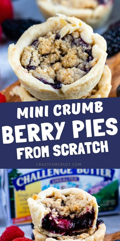 Mini Pies Easy, Mixed Berry Pie Recipe, Mini Fruit Pies, Berry Pies, Berry Pie Filling, Mini Blueberry Pies, Berry Pie Recipe, Fruit Pie Recipe, Mini Pie Recipes