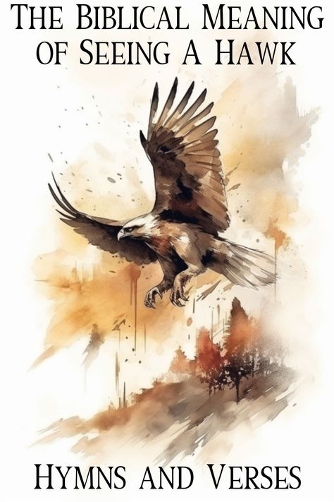 The Biblical Meaning of Seeing a Hawk | Hymns and Verses Hawk Meaning, Hawk Wallpaper, Proverbs 30, Isaiah 46, Revelation 19, Biblical Verses, Spiritual Meaning, In The Flesh, Spiritual Journey