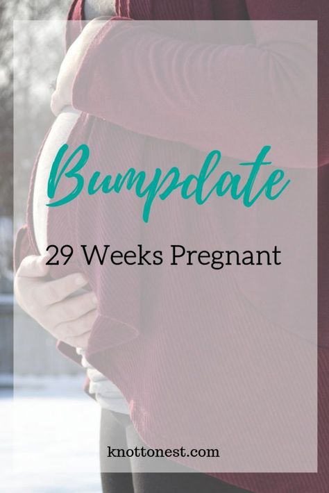 Bumpdate: 29 Weeks Pregnant 29 Weeks Pregnant, Spinning Babies, 28 Weeks Pregnant, 30 Weeks Pregnant, Weekly Planner Free, Ultrasound Tech, 30 Weeks, Homeschool Planner, Motherhood Journey