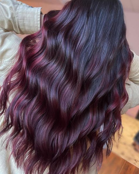 Sophisticated Hair Color, Dark Plum Hair Color, Plum Brown Hair, Plum Highlights, Red Brown Highlights, Plum Hair Color Ideas, Highlights For Black Hair, Plum Hair Color, Sophisticated Hair