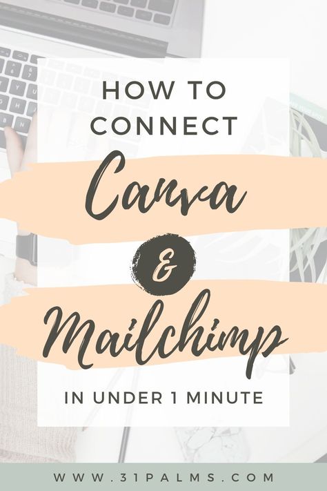 Mailchimp Website Design, Canva Email Newsletter Template, Mailchimp Design Inspiration, Marketing Email Design Layout, Canva Newsletter Templates, Canva Email Template, Canva Newsletter Ideas, New Product Email Design, Canva Marketing Ideas