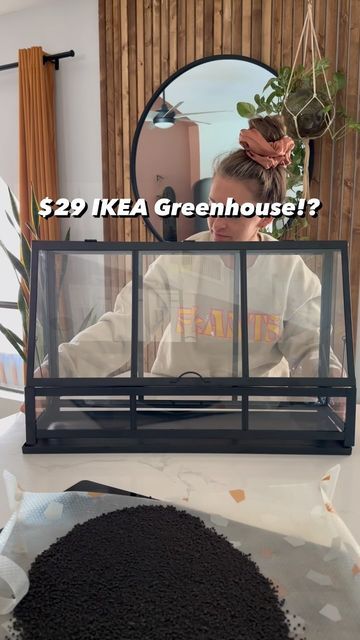 Mini Greenhouse Terrarium, Mini Greenhouse Decor, Ikea Greenhouse Terrarium, Ikea Greenhouse Ideas, Akerbar Greenhouse, Tiny Greenhouse Diy, Ikea Mini Greenhouse, Greenhouse Cabinets, Ikea Terrarium