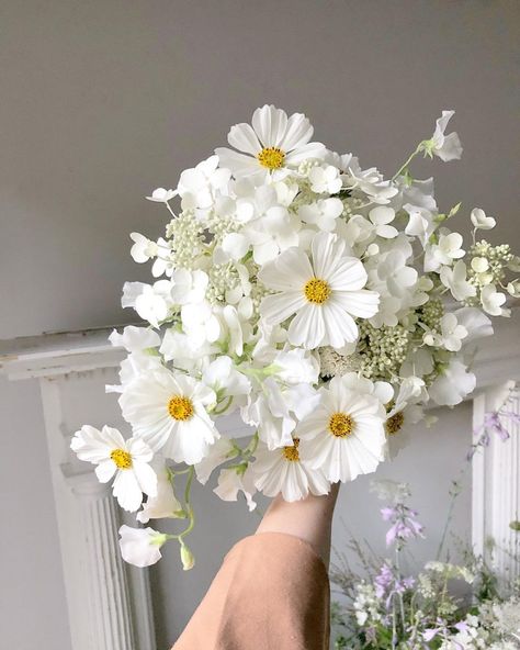 Cosmos In Bouquet, Small White Hydrangea Bouquet, Mountain Flower Bouquet, White Cosmos Bridal Bouquet, White Cosmos Flowers Wedding Bouquets, White Poppies Bouquet, Light Wedding Bouquet, Daisy And Sweet Pea Bouquet, Non Traditional Bouquets Bridal