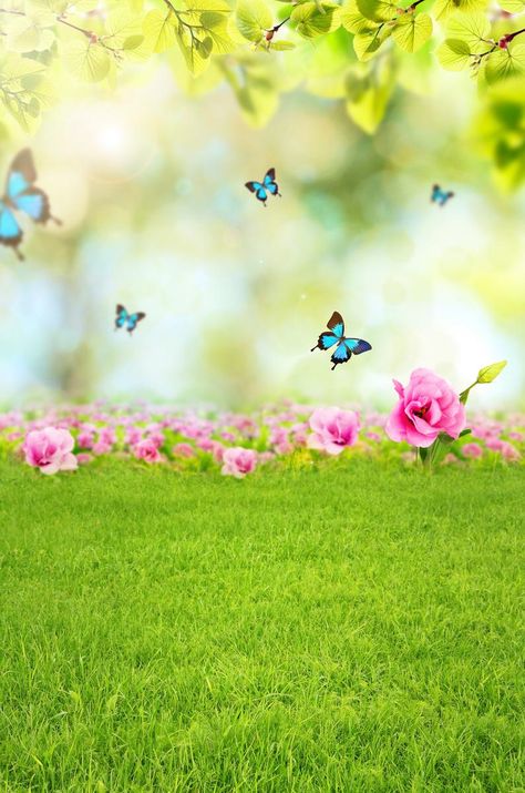 Spring or Summer Season Butterflies Photography Backdrops | Etsy Grass Floor, Newborn Baby Props, Background Computer, Background For Photo, Baby Background, Easter Photography, Birthday Party Photography, Photoshop Backgrounds Backdrops, Vinyl Photography