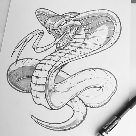 Finished up this weekend.  #cobra #pencil #illustration #snake #sketch #kingcobra #sweyda #studiolife #drawing #art #tattoo #snaketattoo #cobratattoo Slang Tattoo, Snake Sketch, Cobra Tattoo, Snake Drawing, Kunst Tattoos, Snake Art, Book Drawing, Snake Tattoo, Flash Art