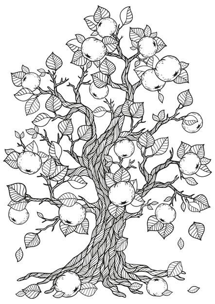 Apple Tree Drawing, Drawing Coloring Pages, Vector Doodle, Book Tree, Tree Sketches, Zen Doodle Art, Tree Coloring Page, Adult Colouring Pages, Blossom Tree