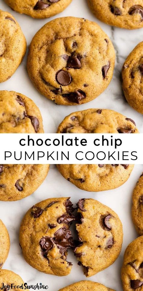 These pumpkin chocolate chip cookies are chewy on the outside and soft on the inside. They're perfectly sweet with just the right amount of cozy fall spices! These chocolate chip pumpkin cookies are easy to make, and will become your new favorite fall cookie recipe! Soft Top Cookies, Easy Pumpkin Chocolate Chip Cookies, Pumpkin Chocolate Chip Cookies Easy, Pumpkin Chocolate Chip Cookies Recipe, Chocolate Chip Pumpkin Cookies, Pumpkin Chip, Fall Cookie Recipes, Pumpkin Cookie Recipe, Spiced Chocolate