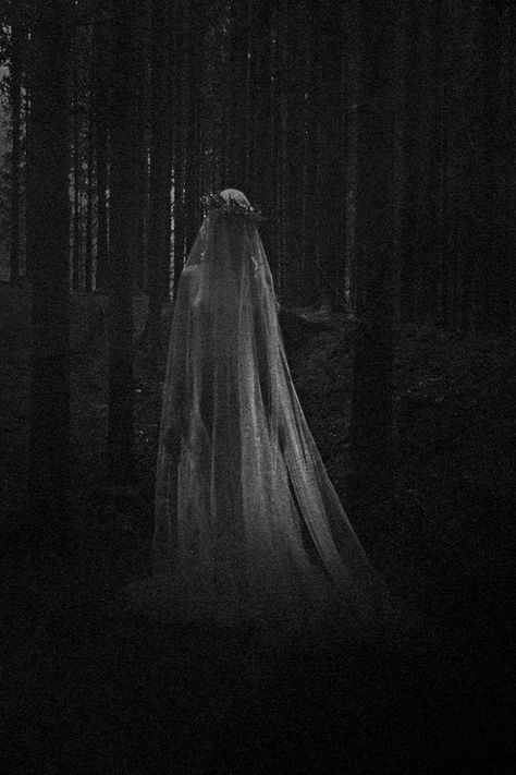 Ghost Bride, Halloween Photoshoot, Gothic Aesthetic, Corpse Bride, Dark Photography, Dark Beauty, The Villain, Horror Art, Dark Fantasy Art