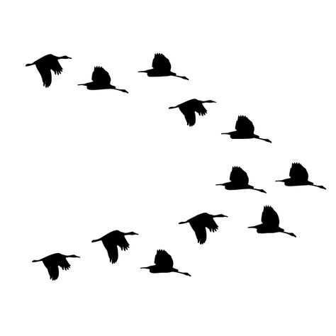 Flock Of Ducks Flying Silhouette | Free SVG Ducks Flying Silhouette, Ducks Flying Tattoo, Duck Flying Tattoo, Flying Duck Drawing, Ducks Flying, Duck Photography, Duck Silhouette, Bird Silhouettes, Fly Drawing