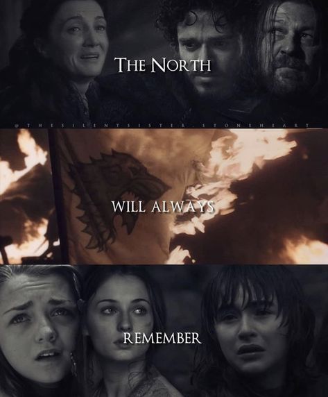 Instagram: Westeros.fp Game Of Thrones Instagram, Game Of Thrones Prequel, Game Of Thrones Series, Game Of Thrones Quotes, The North Remembers, King In The North, Crazy Fans, House Stark, Gra O Tron