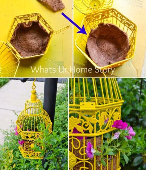 Cage Planter Ideas, Bird Cage Planter Ideas, Bird Cage Planter, Hanging Planters Outdoor, Birdcage Planter, Planters Outdoor, Hanging Plants Diy, Hanging Bird Cage, Garden Centerpiece