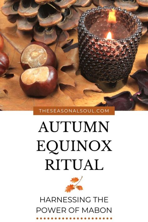 Autumn Equinox Ritual | Harness Your Power w/ This Mabon Ritual Mabon Ritual, Autumn Equinox Ritual, Equinox Ritual, Samhain Tarot, Samhain Traditions, Holly King, What Is Spirituality, Gratitude Meditation, Paper Candle