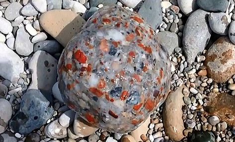 Pudding Stone, Lake Michigan Stones, Drummond Island, Michigan Rocks, Rock Creations, Gem Hunt, Rock Identification, Rock Tumbling, Travel Wishes