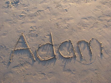 Adam Adam Name, Adidas Wallpaper Iphone, Mr Adams, Emotionally Intelligent, Baby Boy Name, Adidas Wallpapers, Give Peace A Chance, Boy Name, Tv Girl