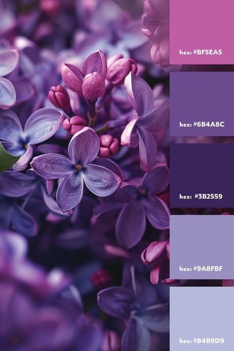 Canva Purple Palette, Lilac Purple Color Palette, Purple Flower Color Palette, Lilac Colour Scheme, Purple Color Palette Aesthetic, Purple Gradient Color Palette, Lilac Color Palette Colour Schemes, Shades Of Purple Colour Palettes, Shades Of Purple Aesthetic