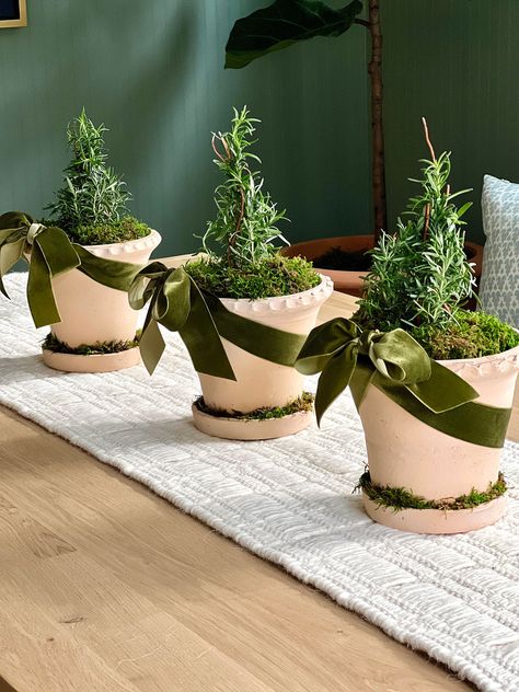 How To Make Mini Rosemary Christmas Trees For Your Centerpiece And More | Classic Casual Home Christmas Greenery Centerpiece Ideas, Christmas Plant Arrangements, Plants For Christmas Gifts, Rosemary Tree Christmas, Small Christmas Floral Arrangements, Plant Christmas Gifts, Diy Plant Crafts, Greenery For Christmas, Mini Christmas Tree Ideas