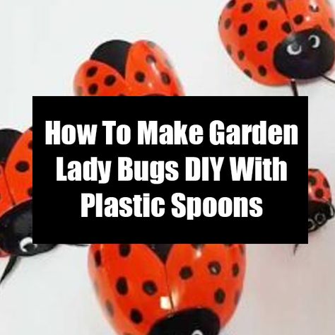 How To Make Garden Lady Bugs DIY With Plastic Spoons Plastic Spoon Art, Easiest Vegetables To Grow, Spoons Diy, Plastic Spoon Crafts, Painted Spoons, Easy Vegetables To Grow, Spoon Crafts, Garden Bugs, Ladybug Crafts