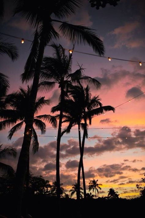 #sky #tropical #amazing #holidays #happiness #romantic #beach #sunset #clouds #summer  https://weheartit.com/entry/326846588 Wallpaper Pantai, Strand Wallpaper, Wallpaper Estetika, Wallpaper Cantik, Tapeta Pro Iphone, Beach Wallpaper, Tree Wallpaper, Sunset Wallpaper, Tumblr Wallpaper