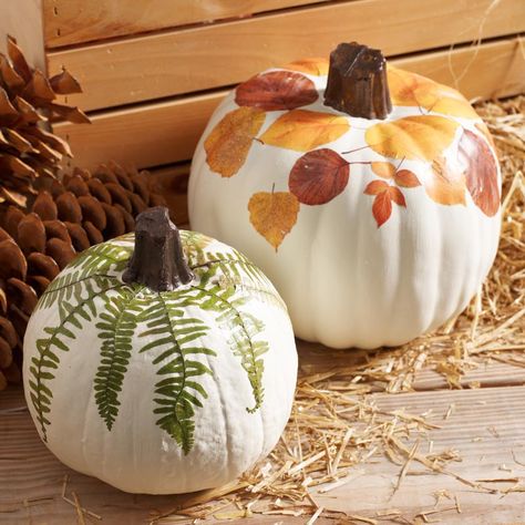 Use Mod Podge to decorate faux fall pumpkins with leaves. Easy no carve pumpkin decorating that is safe for the kids! #nocarvepumpkin #decoratepumpkin #pumpkinideas #porchdaydreamer Pumpkin Painting Ideas Easy, Pumpkin Painting Ideas Fall, Painting Ideas Fall, No Carve Pumpkin Decorating, Porch Pumpkins, Painting Ideas Easy, Pumpkin Painting Ideas, Halloween Pumpkins Painted, Pumpkin Projects