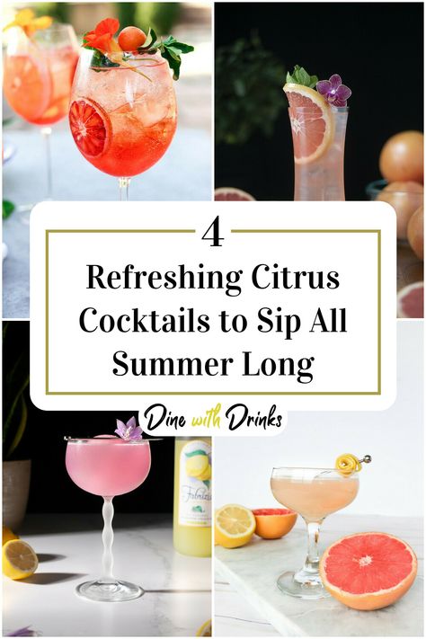 Collage of 4 citrus cocktails. Citrus Cocktails, Sip Sip Hooray, Summer Favorites, Refreshing Cocktails, Cocktail Hour, A Drink, Summer Drinks, Taste Buds, This Summer