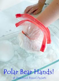 Polar Bear Science, Polar Bears Preschool, Polar Animals Preschool, Polar Bears Activities, Arctic Animals Preschool, Polar Bear Theme, Bears Preschool, School Diy Ideas, Polar Bear Craft