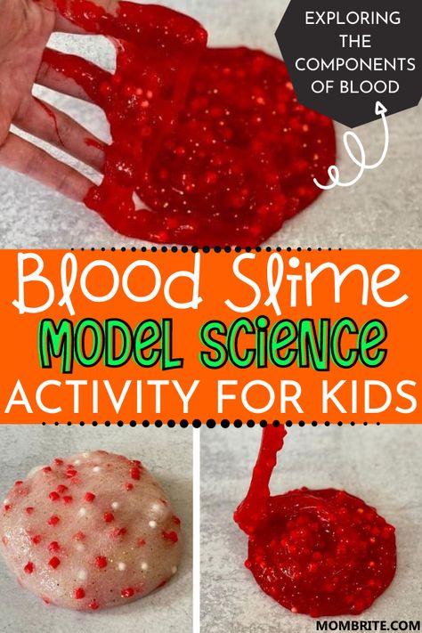 What are the components of blood? A fun learning activity and craft your preschooler and first grader will love, this Blood Slime Model is also a Halloween-themed kids activity perfect for exploring the human anatomy unit. Digestive System Crafts For Preschool, Anatomy And Physiology Projects Ideas, Skin Science Experiment, Anatomy Themed Snacks, Anatomy Crafts For Preschool, Preschool Human Body Crafts, Blood Projects For Kids, Human Body Sensory Activities, Gross And Gooey Physiology Activities