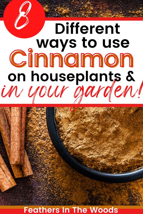 cinnamon for the garden Cinnamon For Plants, Rooting Hormone Diy, Cinnamon In The Garden, Plant 101, Getting Rid Of Nats, Gnats In House Plants, Cinnamon Garden, Cinnamon Uses, Survival Preparedness