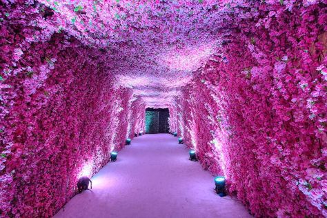 amazing flower tunnel Flower Tunnel Entrance, Flower Tunnel Wedding Entrance, Flower Tunnel Wedding, Flower Hallway, Floral Tunnel, Flower Entrance, Flower Tunnel, Wedding Background Decoration, Wedding Reception Backdrop