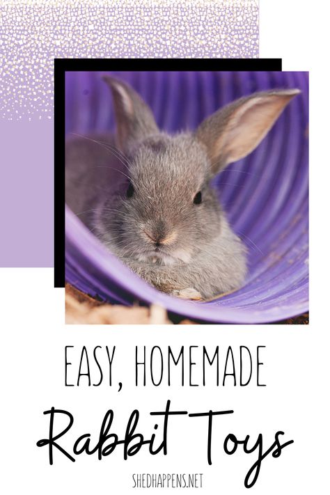 A small grey rabbit laying inside of a purple tunnel on top of a bed of shavings. Text states: Easy, homemade rabbit toys. How To Make Rabbit Toys Diy, Rabbit Cages Ideas, Diy Enrichment Toys For Rabbits, How To Make Bunny Toys, Diy Rabbit Treats Homemade, Homemade Treats For Rabbits, Diy Rabbit Accessories, Bunny Boredom Busters, Diy Rabbit Enrichment Toys