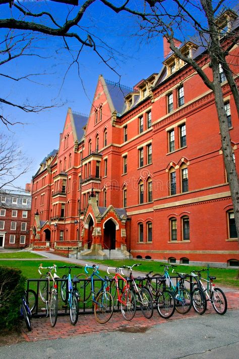 Harvard University Campus Aesthetic, Harvard Campus Aesthetic, Usa University Aesthetic, Oxford University Campus, Harvard University Aesthetic, Harvard University Campus, Harvard Campus, Harvard Uni, Common App Essay