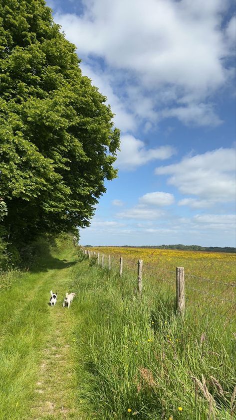 #dogs #field #farm #jackrussel #english #countryside English Countryside House Aesthetic, English Countryside Farm, Life In Countryside, English Farm Aesthetic, English Countryside Spring, Country Farm Life Aesthetic, English Countryside Life, Living In The Countryside, English Country Life