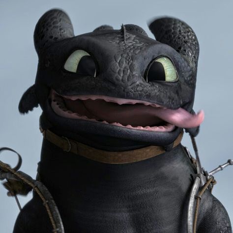 Cute Toothless, Httyd Toothless, Dragon Icon, Httyd Art, Toothless Dragon, Dragon Images, Httyd Dragons, Dragon Trainer, Beautiful Dragon