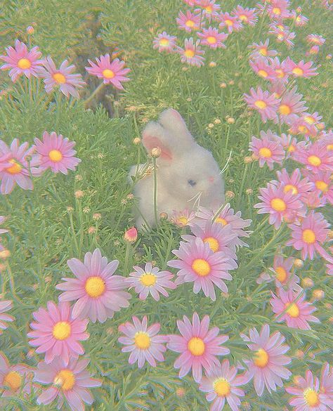 cottagecore, cottage, fairy, fairycore, pastel, nature, aesthetic Pastel Nature Aesthetic, Kidcore Aesthetic Wallpaper, Pastel Cottagecore, Pastel Nature, Pastel Kidcore, Creepy Cute Fashion, Cottagecore Wallpaper, Cottage Fairy, Cottagecore Fairy