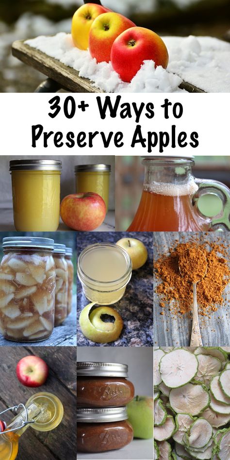 Apple Recipes For Canning, Preserve Apples, Apples Slices, Preserving Apples, Making Hard Cider, Apple Salsa, Canning Apples, Apple Wine, Freezing Apples