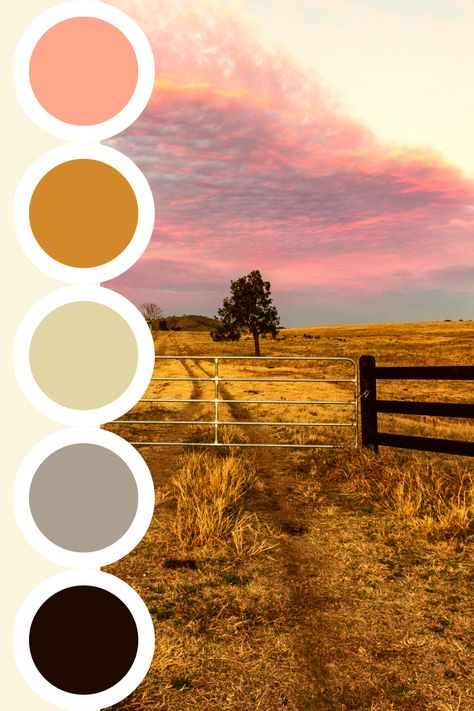 #colorpalette #palette #color #colorscheme #colorswatch #colourpalette #colorinspiration #inspiration #graphicdesign #branding #design #hexcode Western Palette, Western Color Scheme, Country Color Palette, Western Color Palette, Bedroom Colour Palette, Western Bedroom, Color Palette Yellow, Color Palette Bright, Colour Ideas