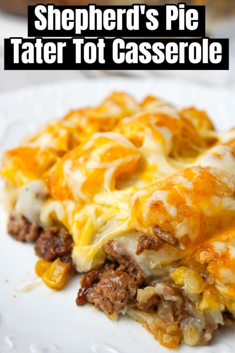 Tator Tot Recipe, Casserole With Ground Beef, Tater Tot Recipes, Tater Tot Casserole Recipes, Ground Beef Casserole Recipes, Tot Casserole, With Mashed Potatoes, Tater Tot Casserole, Beef Casserole Recipes