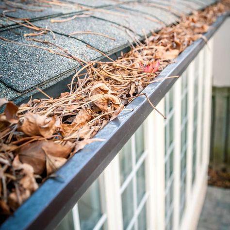 Gutter cleaning is a little easier when you use the right tools to get the job done. Gutter Cleaning Tool, Diy Gutters, Gutter Repair, Fall Clean Up, How To Install Gutters, Gutter Cleaning, Gutter Guard, Rain Gutters, Cleaning Gutters