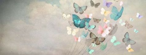 Facebook Header - Cover photo Facebook Header, Facebook Cover Photos, Cover Photo, Facebook Cover, Cover Photos, Butterflies, Wall