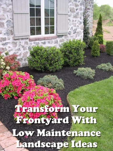 Looking to transform your frontyard? Check out these low maintenance landscape ideas to create a beautiful and stress-free outdoor space. From drought-resistant plants to easy-care hardscaping, this pin has everything you need to design a stunning frontyard landscape that requires minimal upkeep. Say goodbye to constant maintenance and hello to a gorgeous, hassle-free yard! Ideas Para Decorar Jardines, Ringwood Nj, Jeff Smith, Landscape Flowers, Mountain Laurel, Backyard Landscape, Front Landscaping, Home Landscaping, Landscaping Tips