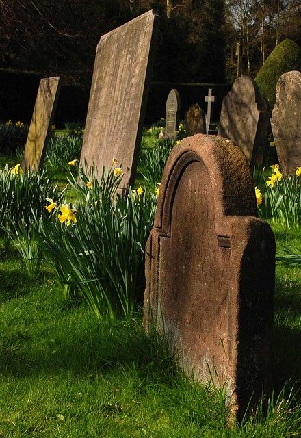 Grave Yard Aesthetic, Grave Aestethic, Graveyard Beautiful, Graveyard Landscape, Visiting Grave Aesthetic, Gravestone With Flowers Aesthetic, 45 Grave, Summer Candle Scents, Goths In Graveyards