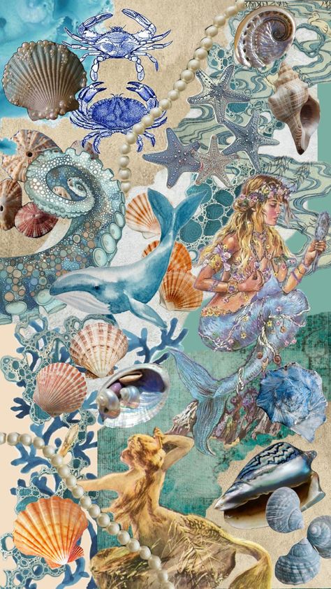 #beach #ocean #sea #mermaid #seashell Mermaid Aesthetic Collage, Seashell Mood Board, Shells Mood Board, Sea Life Mood Board, Mermaid Beach Aesthetic, Under The Sea Collage, Daughter Of The Sea Aesthetic, Seashell Aesthetic Wallpaper, Ocean Mood Board