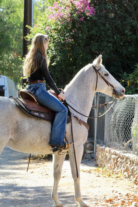 Aesthetic Horse, Barrel Racing Horses, Horse Inspiration, Country Summer, Rodeo Life, Cowgirl Aesthetic, Horse Aesthetic, Western Riding, Country Lifestyle