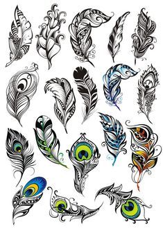 Peacock Feather Vector Set #vector Peacock Feather Vector, Feather Art Drawing, Tato Maori, Peacock Feather Tattoo, Peacock Tattoo, Feather Drawing, Feather Vector, Graffiti Tattoo, Feather Tattoo Design